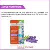 LAVENDER NETI INHALER Sinus & Lung Relief. HIMALAYAN SALT AIR! Respiratory Wellness. Clearing, Healing Ions Aromatherapy. Handy Portable