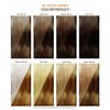 Adore Semi Permanent Hair Color - Vegan and Cruelty-Free Hair Dye - 4 Fl Oz - 046 Spiced Amber (Pack of 1)