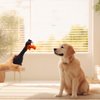 TUICARE Chew-Resistant Chicken Dog Toy Realistic Sound to Entertain Safe for Teeth Ideal for Tug and Fetch Games Suitable for Young and Senior Dogs