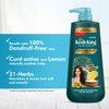 KESH KING Anti Dandruff Shampoo | Ayurvedic Hair Cleanser with Curd & Lemon | Reduce Hairfall | Nourishes Itchy Scalp | Gives Smooth & Soft Hairs | 20.29 Fl Oz/600ml