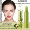 DWDiWen 4 Pcs Avocado Color Changing Lipstick for Women,PH Mood Magic Lipstick Makeup Gift Set,Waterproof Lip Moisturizer Pigmented Long Lasting Tinted Color Change Labiales Lip Gloss Balm Stain