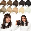 Rose bud Bangs Hair Clip in Bangs Hair Extensions Synthetic Flat Bang with Temples Front Face Fringe Bangs Hair Pieces for Women Dark Ash Blonde
