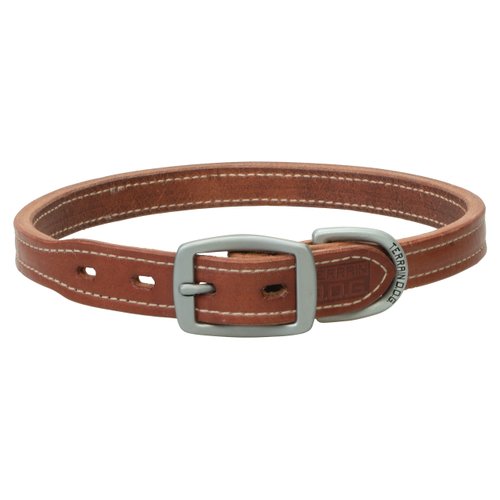 Terrain D.O.G. Buttered Harness Leather Hybrid Dog Collar 1" x 21"
