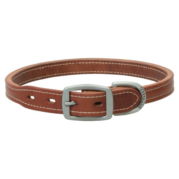 Terrain D.O.G. Buttered Harness Leather Hybrid Dog Collar 1" x 21"