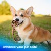Kats'N Us Dog Treats Chewy Rope Ball Knot Dog Toy for Teething - Durable, Long-Lasting Chewy Toys for Puppies and Small Breeds - Puppy Essentials Interactive Dog Toy for Teething Relief, Multi-Color