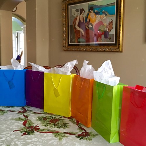 Adorox 12 Assorted (13" h x 10" w x 4 1/2" d) Bright Neon Colored Party Present Paper Gift Bags Christmasd Holidays Thanksgiving Easter Halloween Mothers Day All Occasion
