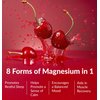 BIOptimizers Magnesium Breakthrough Drink - 8 Forms of Magnesium, Electrolytes, Sleep Health, Stress, Muscle Recovery, Heart Support | Glycinate, Citrate, Malate- Tart Cherry