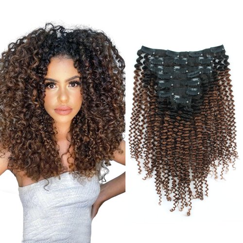 Sassina Ombre Kinky Curly Clip in Human Hair Extensions for African American Black Women Double Wefts 3C 4A Afro Kinky Curly Clip in 7Pcs-120G Ombre Natural Black Chocolate Brown TN4 14Inch