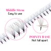 TDANCE Premade Fans Eyelash Extensions 320 Fans Pre Made Fans Lash Extensions Middle Stem Heat Bonded Premade Lash Fans Volume Lash Extensions(320-10D-0.03-C-8-15mm)
