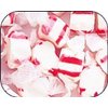 Peppermint Red & White Gourmet Salt Water Taffy 1 Pound Bag