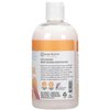 Ginger Lily Farms Botanicals Moisturizing Conditioner for Dry Hair, Coco Mango, 100% Vegan & Cruelty-Free, Coconut Mango Scent, 12 Fl Oz