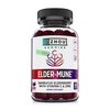 Zhou Nutrition Elder-Mune Sambucus Elderberry Gummies with Zinc and Vitamin C for Kids & Adults (Age 4+) Immune Support with Antioxidants, Vegan, Gluten Free, Non-GMO, 30 Servings, 60 Gummies