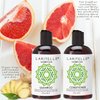 Laritelle Organic Travel Size Shampoo 2 oz + Travel Size Conditioner 2 oz | Organic Quinoa + Keratin + Follicle Stimulating Rosemary, Ginger & Grapefruit | NO GMO. Vegan