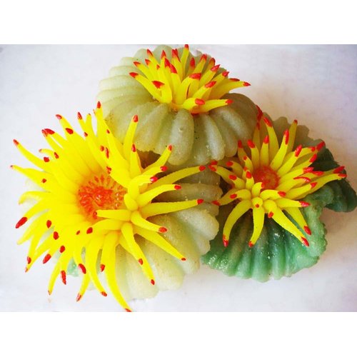 Aquarium Fish Tank Silicone Sea Anemone Artificial Coral Ornament SH014A 13
