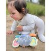 Playgro Fauna Friends Cuddly Koala - Plush Koala Toy for Newborns - Soft and Snuggly Stuffed Animals for Babies - Ideal Baby Gift - Sensory Soft Crinkle Toy with Teether