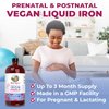 MaryRuth Organics | Liquid Iron Supplement Prenatal & Postnatal for Pregnant & Lactating | Iron Deficiency | Immune Support | Sugar/Gluten Free | Vegan | Non-GMO | 15.22 Fl Oz
