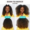 Carol's Daughter Born To Repair 60-Second Moisture Hair Treatment, Hydrating, Detangling Hair Care for Curly Hair with Shea Butter, 6.8 Fl Oz
