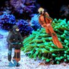 3 PCS Scuba Diver Toys Sea Marine Animal Figure Toys Shark Figurines Plastic Swimmers Figurines Underwater Adventure Figure Set Realistic Action Figures Diver Decors