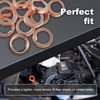 Augeny 12 PCS Oil Drain Plug Gasket, O.D 17mm Copper Crush Washer Oil Drain Plug Gasket, Copper Compression Washer Compatible with F4XY-6734-A, 11026-JA00A, 11026-01M02 350Z