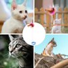Cat Teaser Wand Toy, Cat Teasing Wand Collar Silicone Adjustable Cat Wand Toy Feather with Bell Cat Interactive Teaser Toys for Indoor Cat Kittens Playing Exercise (Blue)