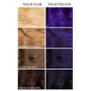 Lunar Tides Semi-Permanent Hair Color (43 colors) (Nightshade, 4 fl. oz.)