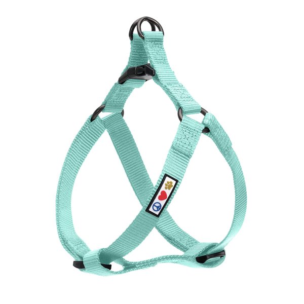 Pawtitas Solid Color Step in Dog Harness or Vest Harness Dog Training Walking of your Puppy Harness Small Dog Harness Teal Dog Harness