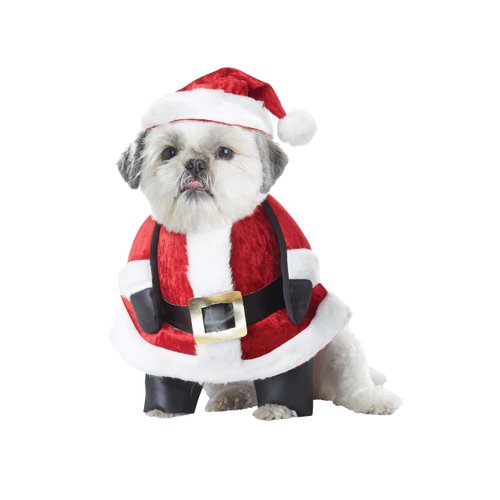 California Costumes Santa Pup Dog Costume, Small