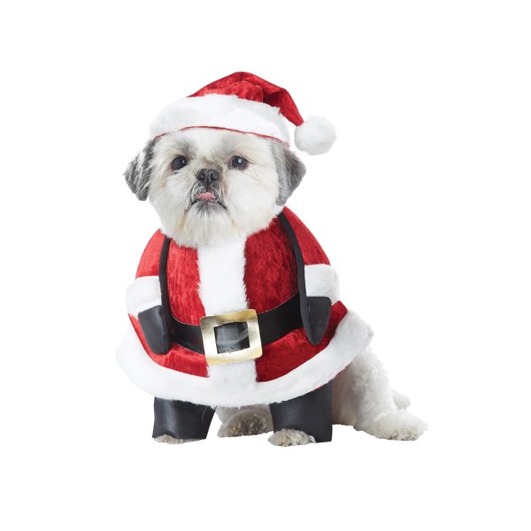 California Costumes Santa Pup Dog Costume, Small