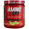 iSatori Amino-GRO BCAA Powder, Branched Chain Amino Acids with Glutamine, Electrolyte Powder & Bio-GRO Bio-Active Peptides for Muscle Growth & Post Workout Recovery, Frosted Lemonade (30 Servings)