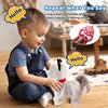 Walking Cat Set Interactive Talking Cat Toy Kitten Repeat What You Say Robot Cat Toy for Girl Singing Dancing Touch Control Cat with Leash Wagging Tail Nodding Plush Electric Ragdoll Kitty Cat for Kid