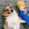FUZZU Donald Trump Dog Toy | Political Parody Novelty Durable Pet Toy with Squeaker | Small | 12"