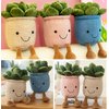 Quioee 3pcs Succulent Plush Toy Potted Plants Plush Doll, Simulation Succulent Plushies Home Decoration Stuffed Soft Plushies (Pink+White+Blue)