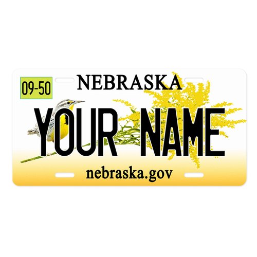 Bleu Reign Personalized License Plate 2016 Nebraska Car Vehicle, Add Custom Name (6x12in)