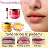 2 Pack Bee Lip Balm Honey Pot, Honey & Strawberry Lip Mask Propolis Lip Mask, Hydrating & Prevention Dry and Cracked Lip Scrubs Exfoliator Lip Sleeping Mask Reduces Lip Lines