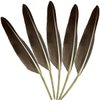 LWINGFLYER 25pcs 10"-12" Long Goose Feathers Quill for Pen Craft Festival Halloween Hats Costumes Decorations (Natural)