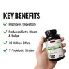 Force Factor ProbioSlim Extra Strength, Probiotic Supplement for Women and Men with 30 Billion CFUs and Green Tea Extract for Gut Health Support, Bloating and Gas Relief, 120 Count (Pack of 2)