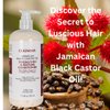 OLAZARAH Jamaican Black Castor Oil Strengthen & Restore Conditioner with Shea Butter, Peppermint and Apple Cider Vinegar to Soften & Nourish (17 oz., 2pk)