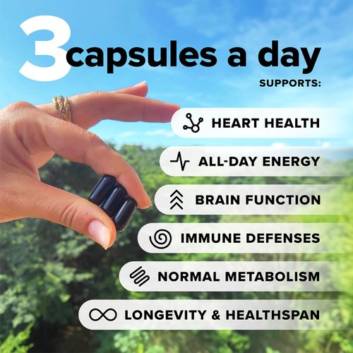 Complement 2 Month Supply Vegan Multivitamins for Women & Men (180 Capsules) Omega 3 DHA+EPA, Vitamin B12, Vitamin D3 K2, Zinc, Selenium, Magnesium, Iodine Supplement- Made in USA, 60 Servings