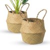 BrilliantJo Seagrass Belly Basket, Set of 2 Woven Plant Pot Holder handmade Home Decor for Storage Plants Picnic Grocery Medium(10.63 x 9.44 inch)
