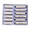 RZJZGZ 168 Pcs Dental Synthetic Resin Tooth Denture Temporary False Teeth 6 Sets False Teeth 23 A2