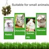 ROZJOVU Rabbit Guinea Pig Bunny Chew Toys for Teeth Grinding Cage Hanging Toy Organic Rabbit Treats for Bunny Chinchillas Hamsters(Bamboo+Apple Sticks+Alfalfa Cakes+Timothy Hay) (2 PCS)