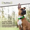 Moose Pet Wear Dog Collar - Patterned Adjustable Pet Collars, Made in the USA - 1 Inch Wide, Medium, Modern Green