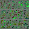 OohFaice 15 Sheets Glow in Dark Dinosaur Temporary Tattoos for Kids, Waterproof Fake Tattoo Stickers, Luminous Party Supplies Gifts for Boys and Girls