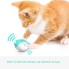 Sanshia Cat Toothbrush Catnip Toy, Interactive Chew Toy with Built-in Bells, Rubbing Face Eliminate Loneliness,Easy Clean