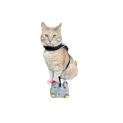 TRAVEL CAT Stray x B-12 & Zurk Catnip Cat Toy Set - Limited Edition Catnip Toys for Indoor Cats, Kittens - Durable and Soft Bite Resistant Interactive Cat Toys for Chew, Teeth