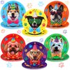 FillTouch 60 Pcs 9 Inch Dog Birthday Party Plates Disposable Dog Theme Decoration Plates Set Tableware for Kids Birthday Party Supplies Dessert Favors