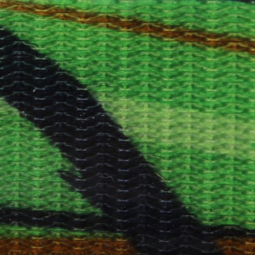 Outdoor Dog Supply's 1" Wide Pattern D Ring Dog Collar Strap with Custom Brass Name Plate (21" Long, Green Camo)