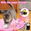Mity Rain Cat Interactive Toys for Indoor Cats, Self Rolling Ball Cat Ball Toy in Play Mat Pouch, Remote Control Smart Automatic Cat Ball with Music Kitten Adult Cat Hide and Seek Hunting Boredom Toys