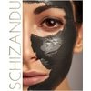 Schizandu Organics Mud Mask Stimulating 100% Natural Facial Moor Mud Mask | 4 oz. Jar | Use Daily for Cleansing, Detoxification, Hydration, and Cellular Regeneration with Fulvic Acid