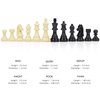 AMEROUS Upgraded Weighted Chess Pieces with 3.0 Inch King/Extra Bonus Folding Portable 15 inch Chess Board / 2 Extra Queens / 2 Storage Bag for Chessmen/Chess Board Game for Beginner